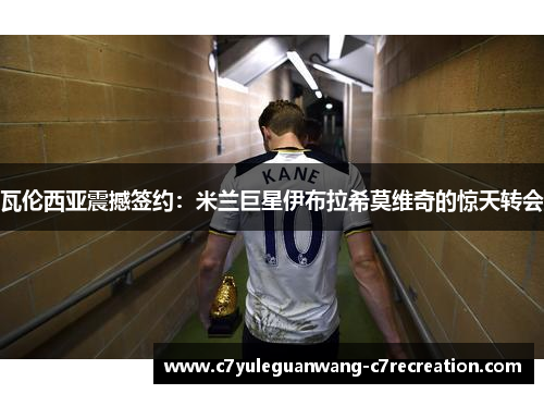 瓦伦西亚震撼签约：米兰巨星伊布拉希莫维奇的惊天转会