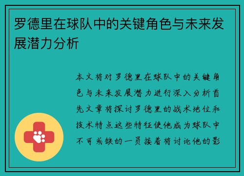罗德里在球队中的关键角色与未来发展潜力分析